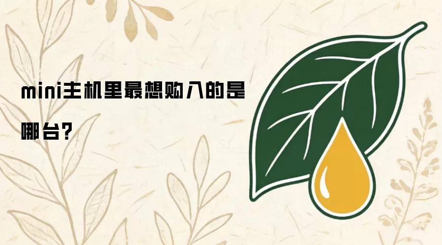 mini主机里最想购入的是哪台？