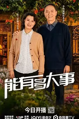 电视剧《能有多大事》剧情介绍