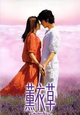 电影《薰衣草》剧情介绍
