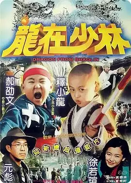 电影《龙在少林》剧情介绍