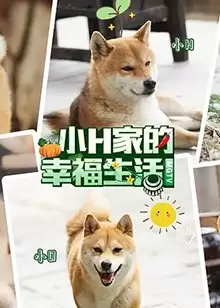 综艺《小H一家》剧情介绍