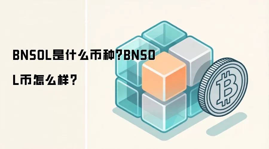 BNSOL是什么币种？BNSOL币怎么样？