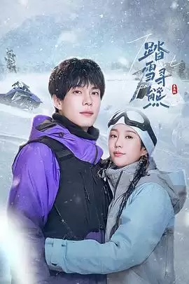 电视剧《踏雪寻熊》剧情介绍
