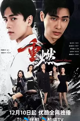 电视剧《重燃2024》剧情介绍