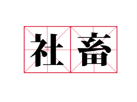 社畜是什么梗