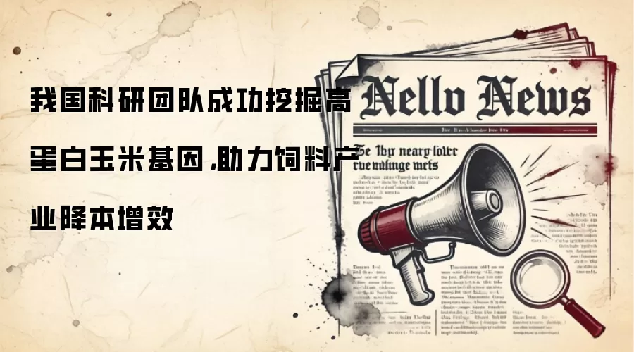 我国科研团队成功挖掘高蛋白玉米基因，助力饲料产业降本增效