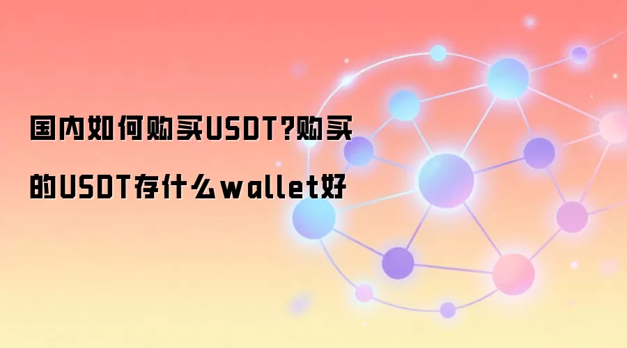 国内如何购买USDT?购买的USDT存什么wallet好