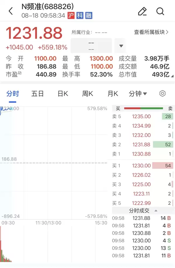中一签赚55万 A股诞生新纪录