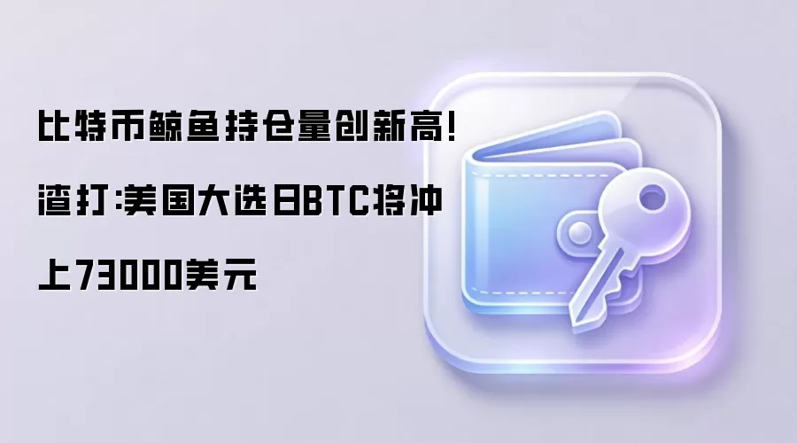 比特币鲸鱼持仓量创新高!渣打:美国大选日BTC将冲上73000美元