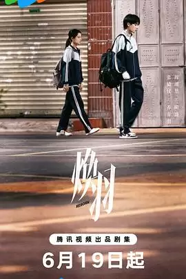 电视剧《焕羽》剧情介绍