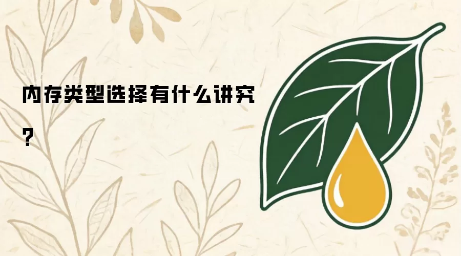内存类型选择有什么讲究？