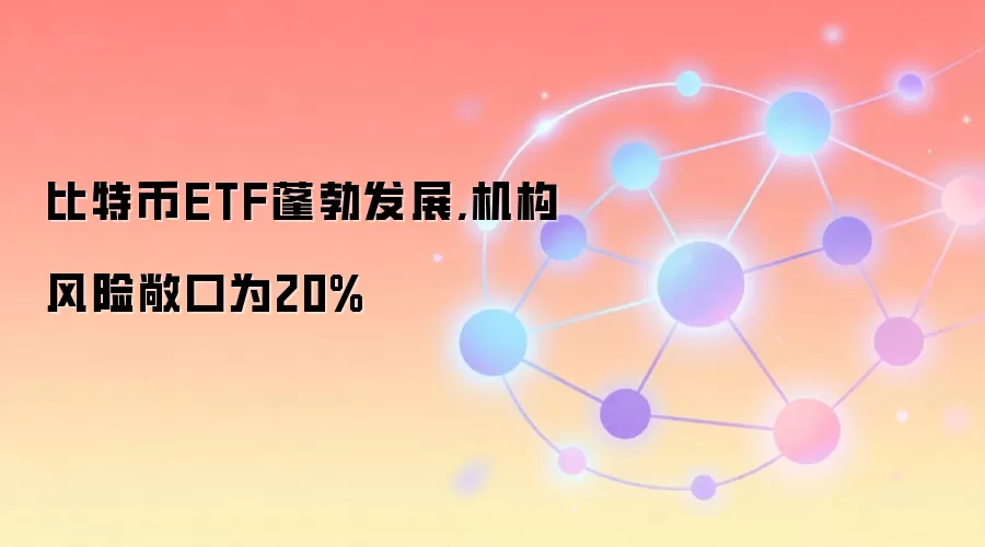 比特币ETF蓬勃发展,机构风险敞口为20%