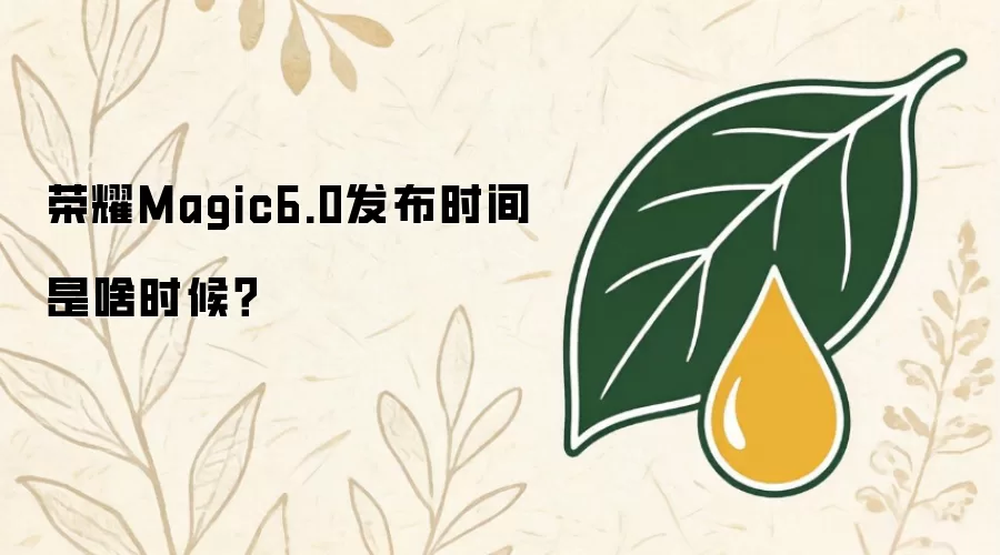 荣耀Magic6.0发布时间是啥时候？