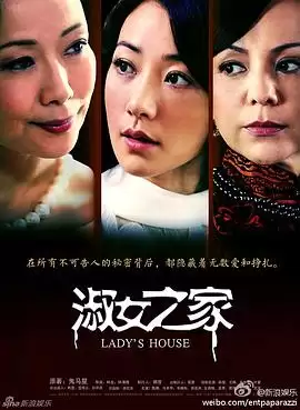 电视剧《淑女之家》剧情介绍