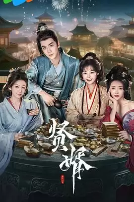 电视剧《贤婿》剧情介绍