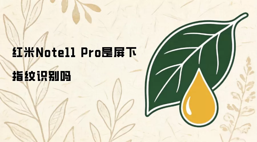 红米Note11 Pro是屏下指纹识别吗
