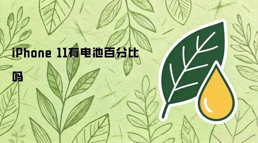 iPhone 11有电池百分比吗