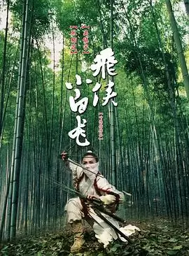 电影《飞侠小白龙》剧情介绍