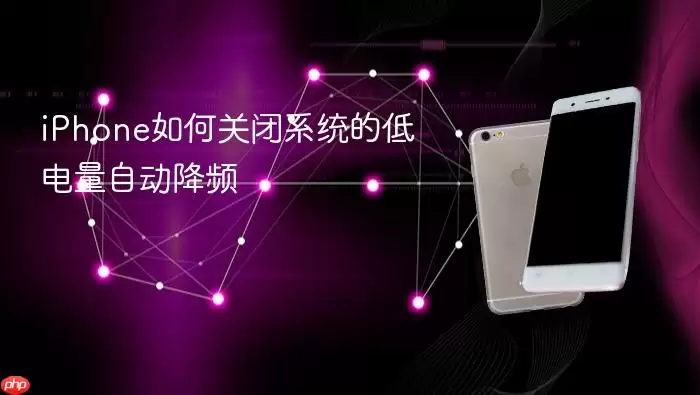 iPhone如何关闭系统的低电量自动降频