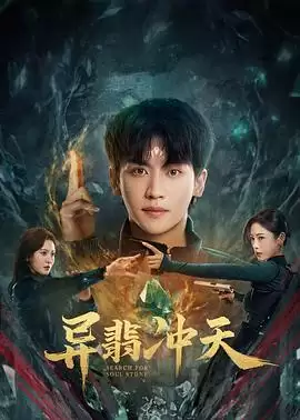 电视剧《异翡冲天》剧情介绍