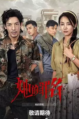 电视剧《她的罪名》剧情介绍