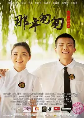 电影《那年匆匆》剧情介绍