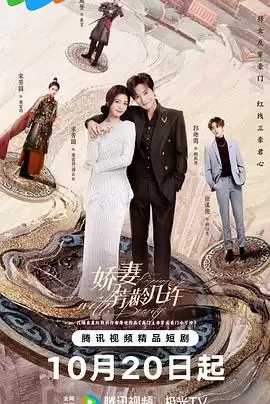 电视剧《娇妻芳龄几许》剧情介绍
