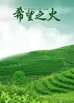 电影《西游超级粉》剧情介绍