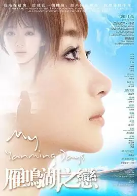 电影《雁鸣湖之恋》剧情介绍