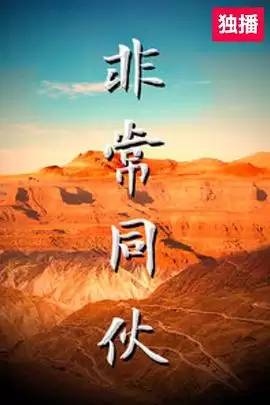 电影《非常同伙》剧情介绍