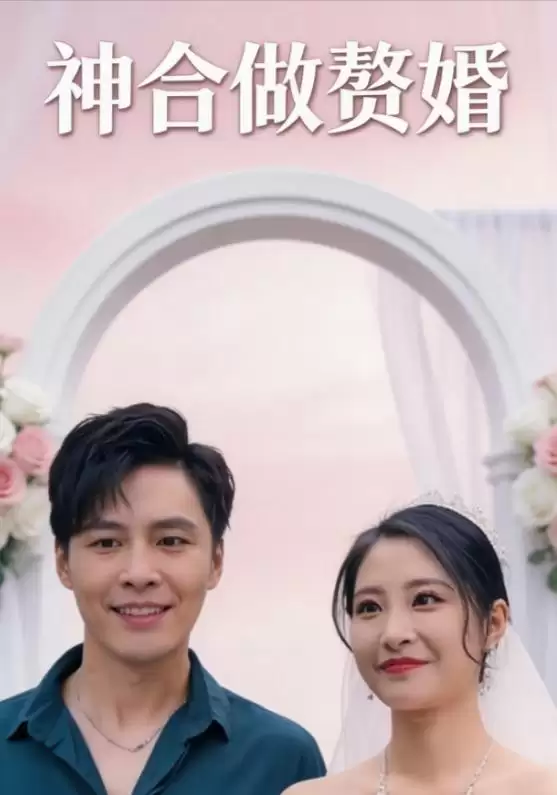 短剧《神合做赘婿》剧情介绍