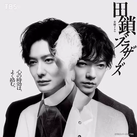 电视剧《田锁兄弟》剧情介绍
