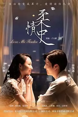 电视剧《柔情史》剧情介绍