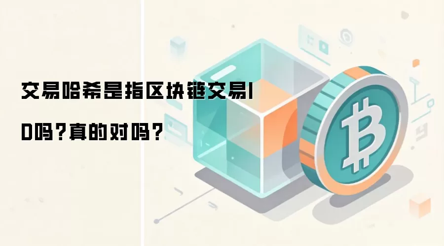 交易哈希是指区块链交易ID吗？真的对吗？