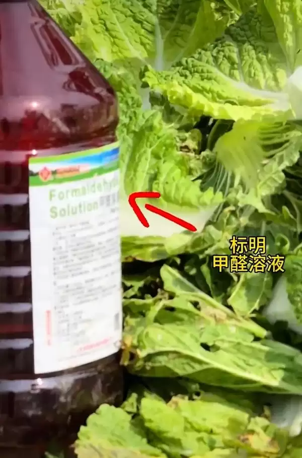 博主曝光“大白菜装车前蘸甲醛保鲜” 当地通报:对涉事白菜流向紧急追溯