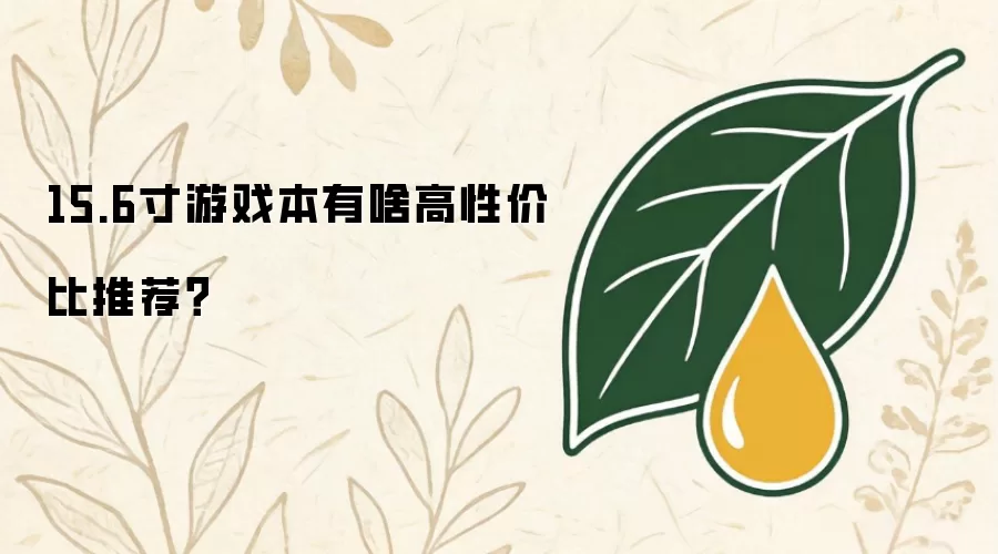 15.6寸游戏本有啥高性价比推荐？