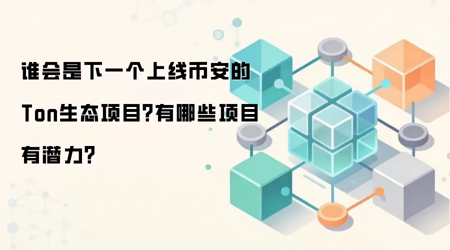 谁会是下一个上线币安的Ton生态项目？有哪些项目有潜力？