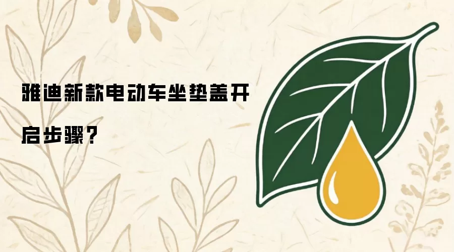 雅迪新款电动车坐垫盖开启步骤？