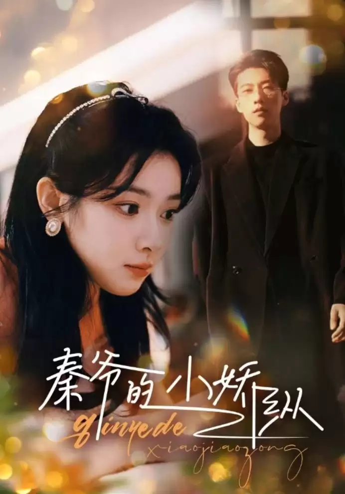 短剧《秦爷的小骄纵》剧情介绍