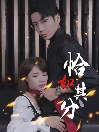 短剧《恰如其分》剧情介绍