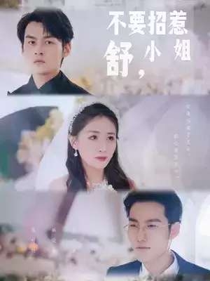 短剧《不要招惹舒小姐》剧情介绍