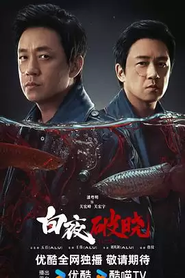 电视剧《白夜破晓》剧情介绍