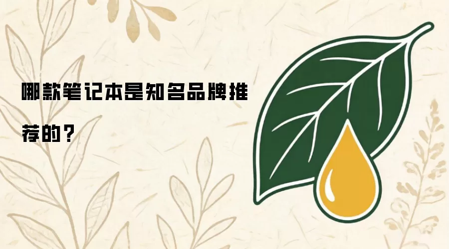 哪款笔记本是知名品牌推荐的？
