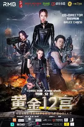 电影《黄金十二宫》剧情介绍