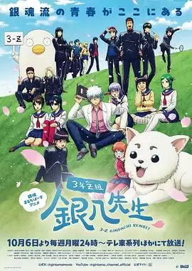 动漫《3年Z组银八老师》剧情介绍