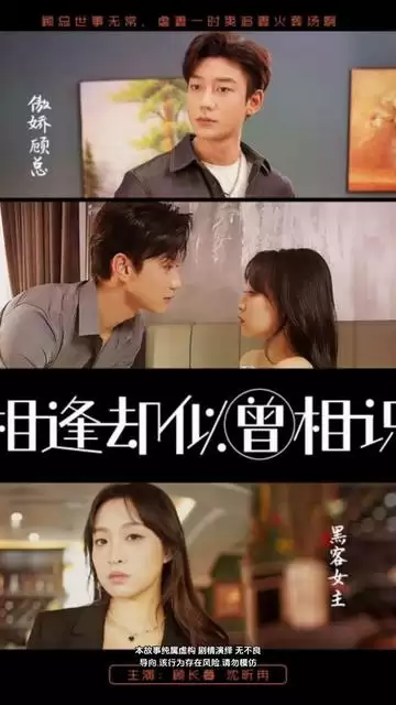 短剧《相逢却似曾相识》剧情介绍
