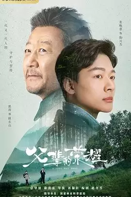 电视剧《父辈的荣耀》剧情介绍