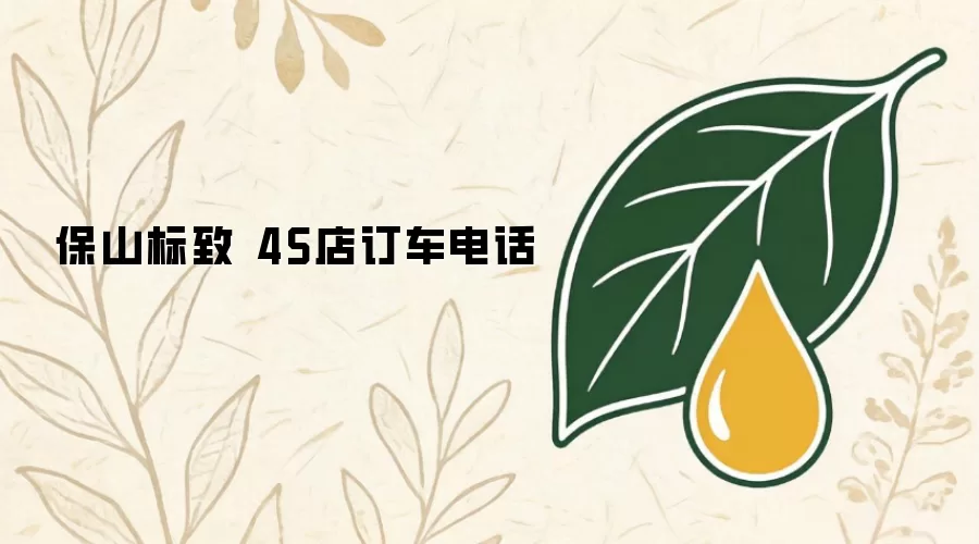 保山标致 4S店订车电话