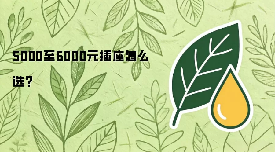 5000至6000元插座怎么选？