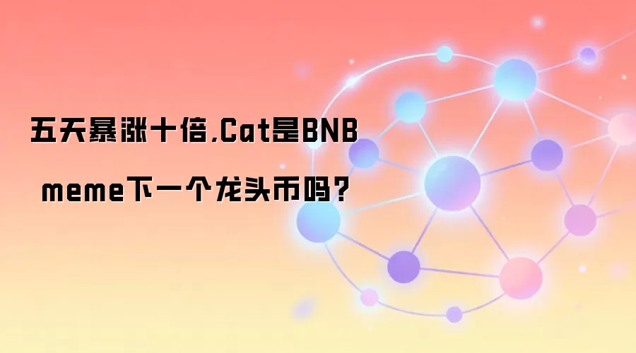 五天暴涨十倍,Cat是BNB meme下一个龙头币吗？